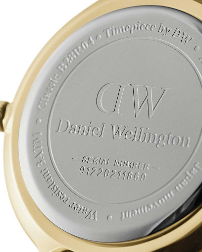 Daniel Wellington Petite Evergold DW00100349